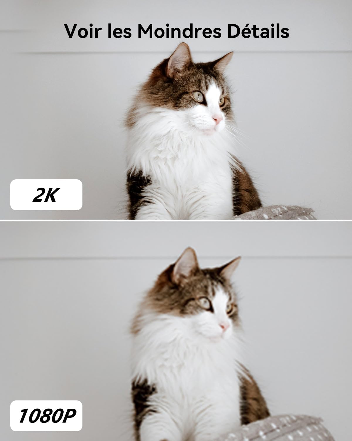 Imou 2K(3MP) Caméra Surveillance WiFi Intérieure Caméra 360° Connectée Smartphone avec Détection Humaine AI Suivi Intelligent Sirène Audio Bidirectionnel Compatible Alexa pour Bébé/Animaux 3 Imou 2K(3MP) Caméra Surveillance WiFi Intérieure Caméra 360° Connectée Smartphone avec Détection Humaine AI Suivi Intelligent Sirène Audio Bidirectionnel Compatible Alexa pour Bébé/Animaux – Image 2