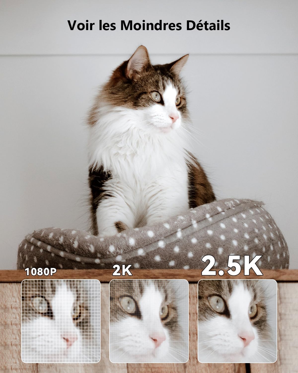 Imou 2.5K(4MP) Caméra Surveillance WiFi Intérieur Caméra 360° Connectée Smartphone Détection Humaine AI Suivi Intelligent Sirène Audio Bidirectionnel Mode Privé Compatible Alexa pour Bébé/Animaux 3 Imou 2.5K(4MP) Caméra Surveillance WiFi Intérieur Caméra 360° Connectée Smartphone Détection Humaine AI Suivi Intelligent Sirène Audio Bidirectionnel Mode Privé Compatible Alexa pour Bébé/Animaux – Image 2