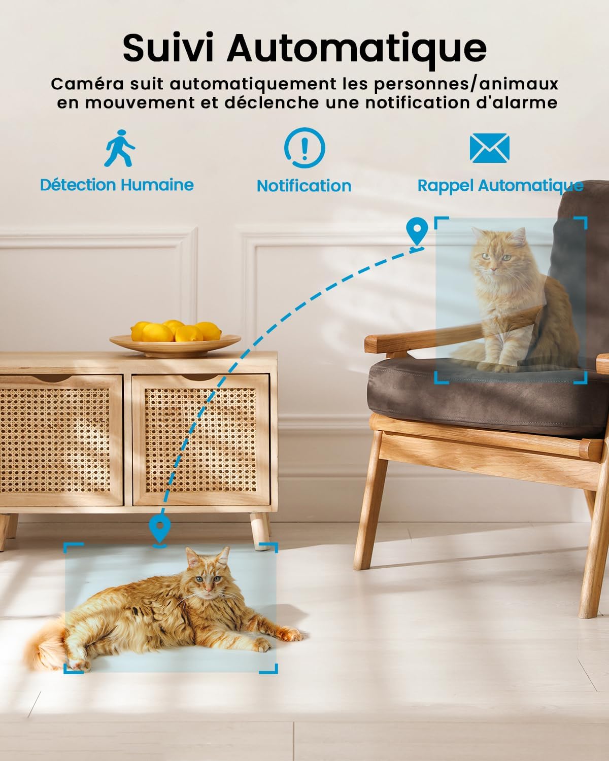 ieGeek 2 Pièces 2K Caméra Surveillance WiFi Intérieur 360° - Camera IP avec Double WiFi (2.4G/5GHz), Détection AI/PIR, Suivi Automatique, Compatible Alexa pour Chien/Bébé/Maison, SC1 5 ieGeek 2 Pièces 2K Caméra Surveillance WiFi Intérieur 360° - Camera IP avec Double WiFi (2.4G/5GHz), Détection AI/PIR, Suivi Automatique, Compatible Alexa pour Chien/Bébé/Maison, SC1 – Image 4