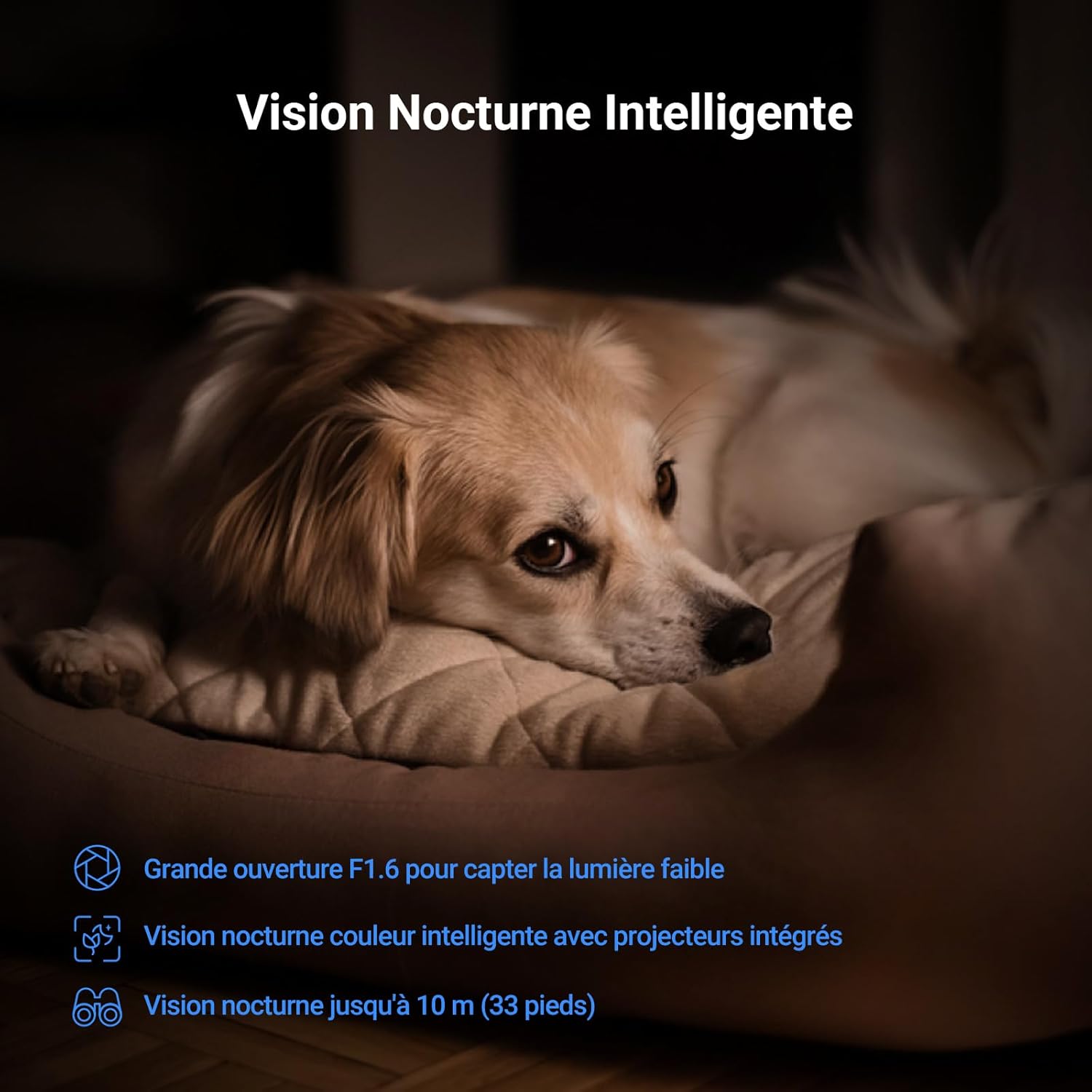 EZVIZ 4K Caméra Surveillance WiFi Intérieure 360 °, Camera Bébé avec WiFi 2.4/5Ghz, Détection Humain/Animaux/Bruit, Vision Nocturne Couleur avec Véritable WDR, Suivi Auto, C6N G1 4K 9 EZVIZ 4K Caméra Surveillance WiFi Intérieure 360 °, Camera Bébé avec WiFi 2.4/5Ghz, Détection Humain/Animaux/Bruit, Vision Nocturne Couleur avec Véritable WDR, Suivi Auto, C6N G1 4K – Image 8