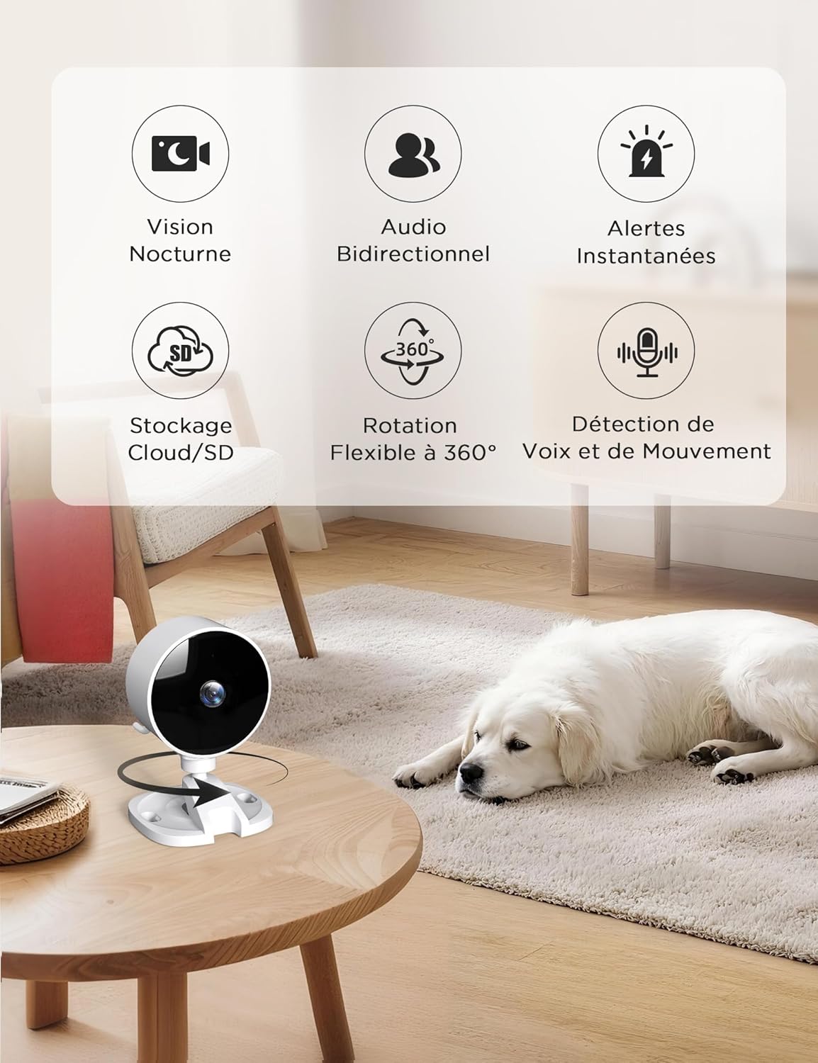 WOLFANG Camera Surveillance WiFi Interieur 1080P avec IR-Vision Nocturne, Détection de Mouvement et Son, Audio Bidirectionnel, Alerte en Temps réel, Compatible avec Alexa,SD et Cloud, Pack de 4 3 WOLFANG Camera Surveillance WiFi Interieur 1080P avec IR-Vision Nocturne, Détection de Mouvement et Son, Audio Bidirectionnel, Alerte en Temps réel, Compatible avec Alexa,SD et Cloud, Pack de 4 – Image 2